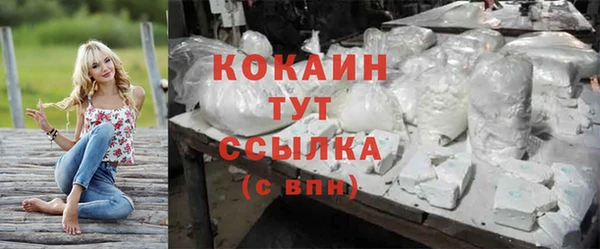 гашик Абинск