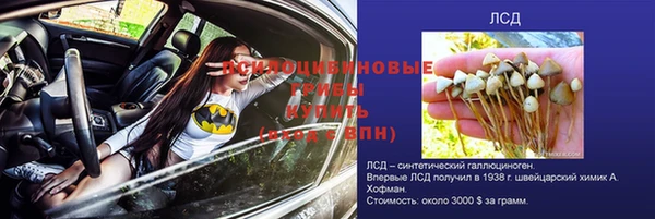 гашик Абинск