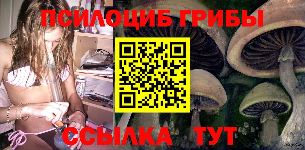 Галлюциногенные грибы Psilocybe  Вход с VPN  Александров  Псилоцибиновые грибы Magic Shrooms 