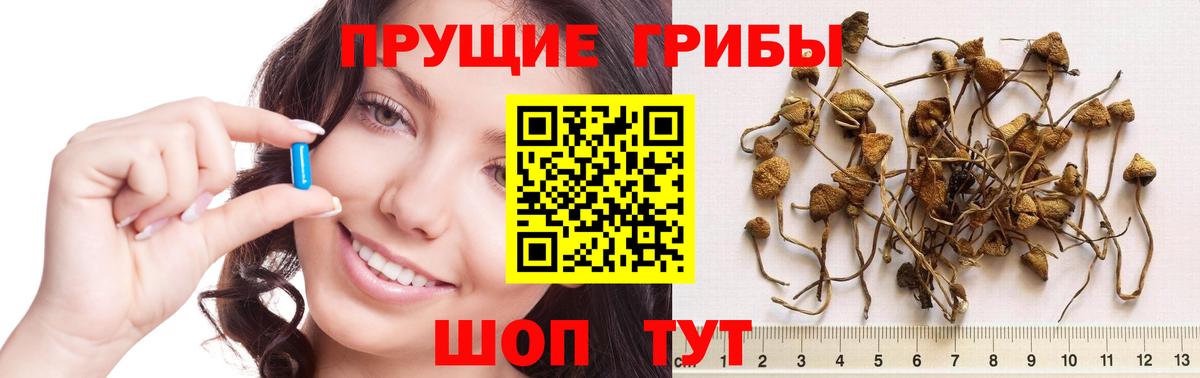 Псилоцибиновые грибы ЛСД Александров